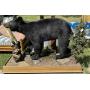 Wed. Oct. 7th 665 Lot McGinnis Estate Online Only Auction