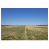 Tract I: 120 Acres Coles County Farm Land