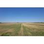 Nov 12th 160 Acres Coles County Class A Farm Land