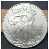 2010 Silver Eagle