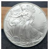 2010 Silver Eagle
