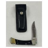 Buck 110 Folding Hunter