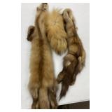 2 - Minks and Foxtail