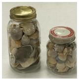 Nice Seashells