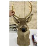 6 Point Whitetail Deer Mount