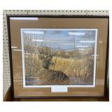 Framed Whitetail Print