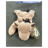 Ty Beanie Baby Derby - No Star