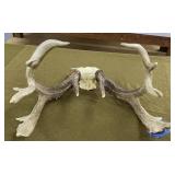 190 Score 14 Point Whitetail Antlers