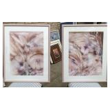 2 - Framed Prints