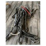 Tarp Tie Bungee Straps