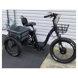 Emojo Class II Electric Trike
