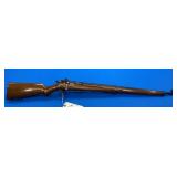 Savage 19 .22 LR Rifle