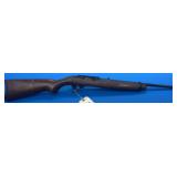 Ruger 10/22 .22 LR Rifle