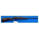 Witte Hdwe Xpert .22 LR Rifle