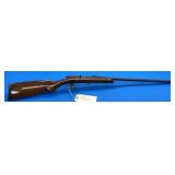 Premier Single Shot .22 LR Rifle