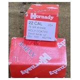 200 ct .22 Caliber Bullets