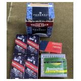 .22LR Ammo