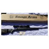 Savage Axis .243 Rifle