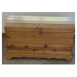 Pine Trunk