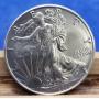 2020 American Silver Eagle