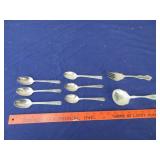 Collector Spoons & Fork