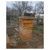 Bee Box (two years old)