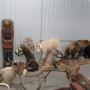 Consignment Auction
