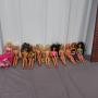 Barbie dolls & Collectibles