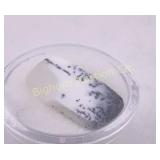 Dendrite Opal 9.00 Ct Australia