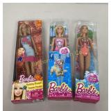 Barbies, Water Play & December Birthday Bouquet