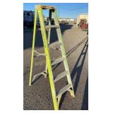 Werner 6 FT Fiberglass Ladder
