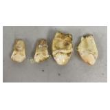 Elk Teeth (Ivory) 4 PC Lot