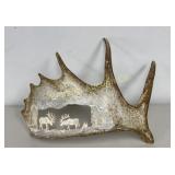 Moose Antler Etched & Engraved Elk