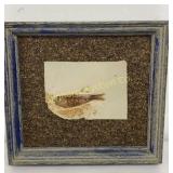Framed Fossil Mioplosus Fish Likely From Green