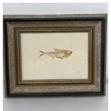 Framed Fossil Diplomystus Fish Likely From Green