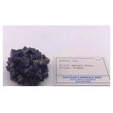 Amethyst Pina Specimen Polleri Amethyst Mines