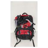Swiss Gear Back Pack