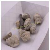 Sea Snail Fossils Approx 10 Pc Lot