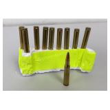 Winchester Ammo 30-06 Sprg,10 Rds