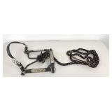 Leather Show Halter  w/ Silver Accents & Lead Rope