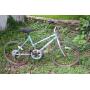10 Speed Sassy Bicycle