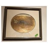 Framed Armidillo picture