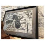 Roadrunner picture
