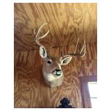Deermont