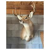 Deer mont