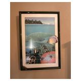 Framed fish print,signed