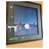 White Buffalo signed picture