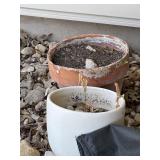 Misc Planters