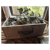 Drawer planter
