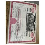 Pan American World Airlines